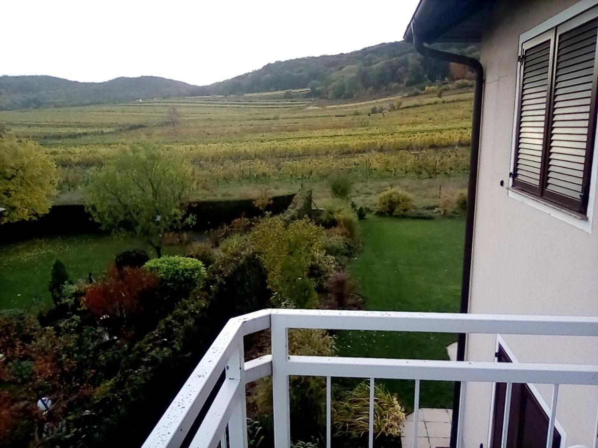 Top Over Vienna, Perchtoldsdorf Weinberge Ideal With Car Apartamento Exterior foto