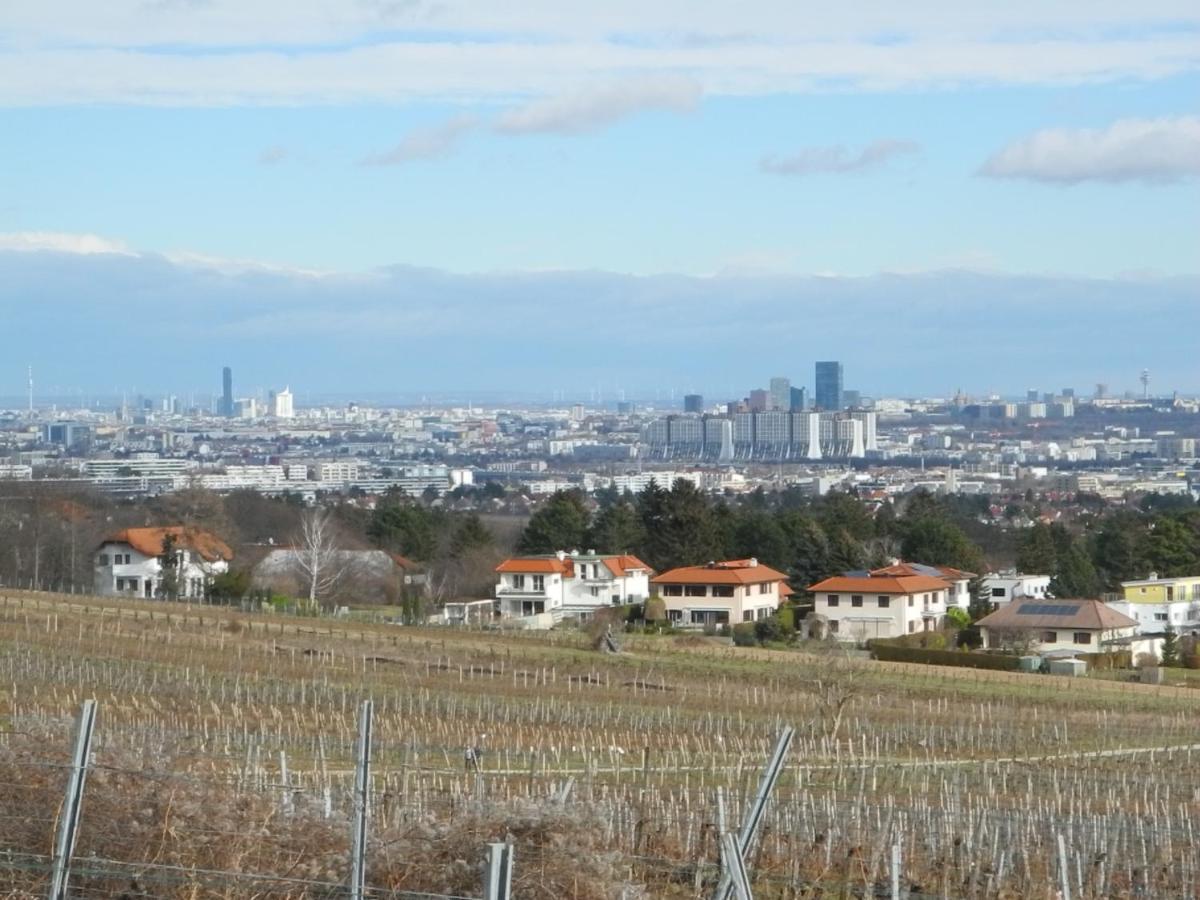 Top Over Vienna, Perchtoldsdorf Weinberge Ideal With Car Apartamento Exterior foto