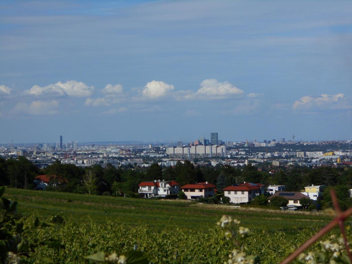 Top Over Vienna, Perchtoldsdorf Weinberge Ideal With Car Apartamento Exterior foto