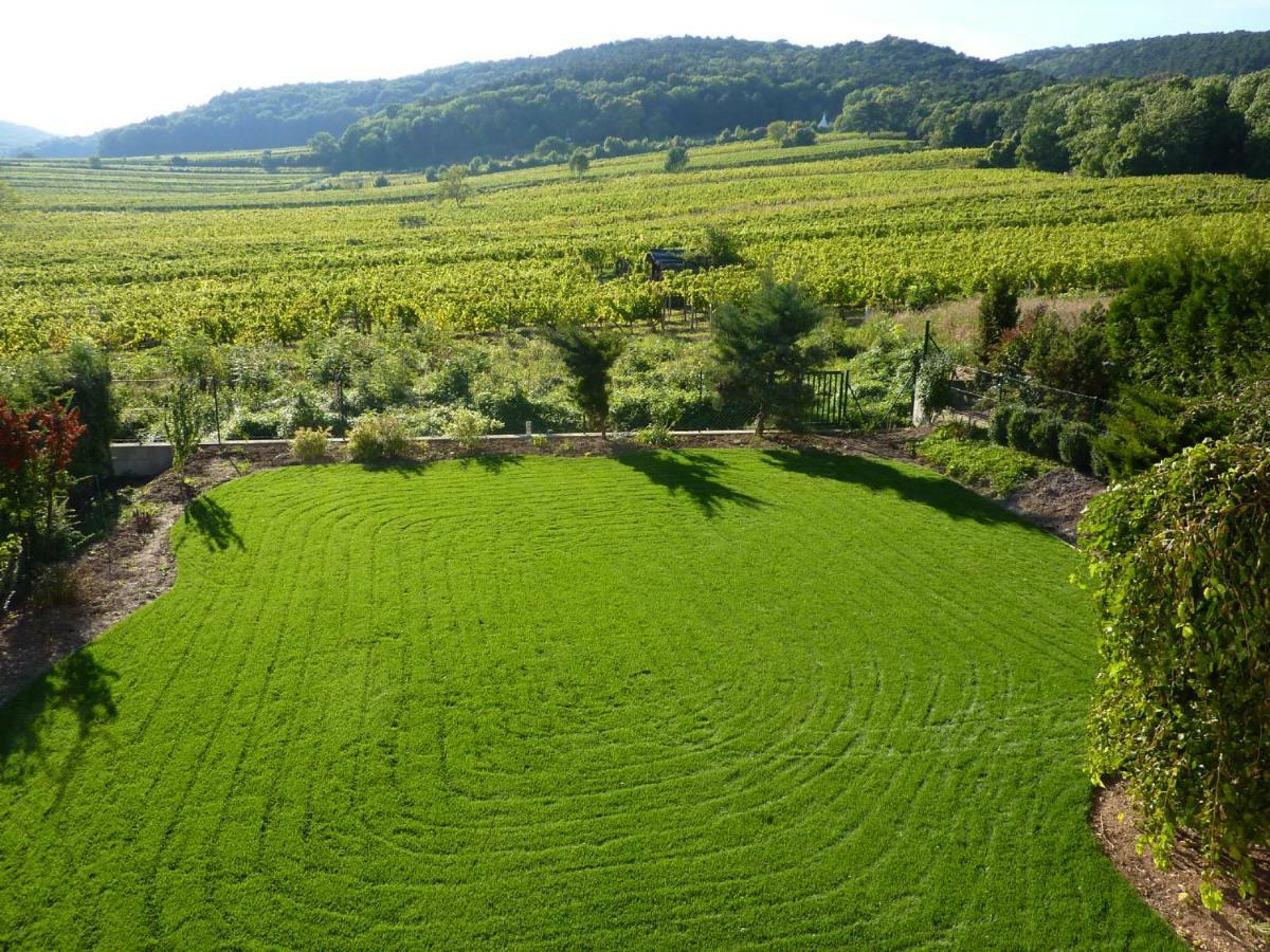 Top Over Vienna, Perchtoldsdorf Weinberge Ideal With Car Apartamento Exterior foto