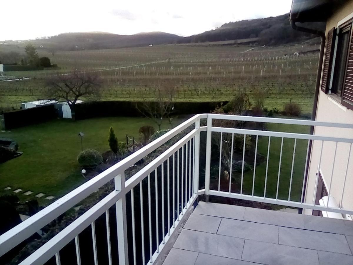 Top Over Vienna, Perchtoldsdorf Weinberge Ideal With Car Apartamento Exterior foto